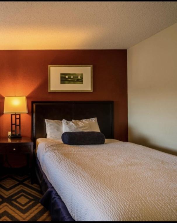 The Patch Lodge Warroad Esterno foto